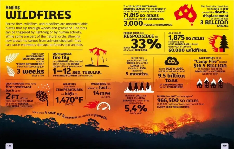 Our World in Numbers: Planet Earth US - Hardback