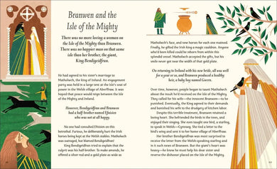 Celtic Myths US - Hardback