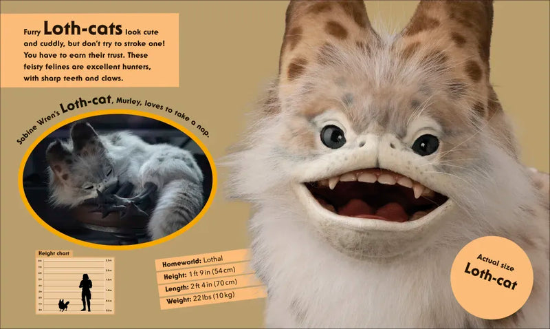 Star Wars Life Size US - Hardback