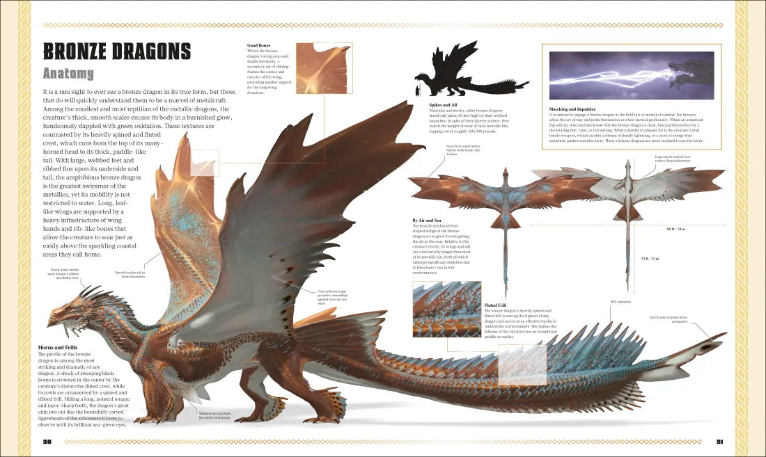 Dungeons and Dragons The Book of Dragons US - Hardback