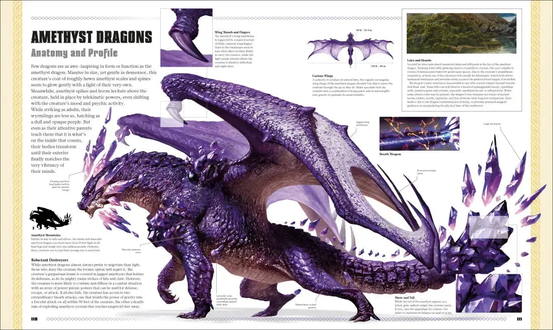 Dungeons and Dragons The Book of Dragons US - Hardback