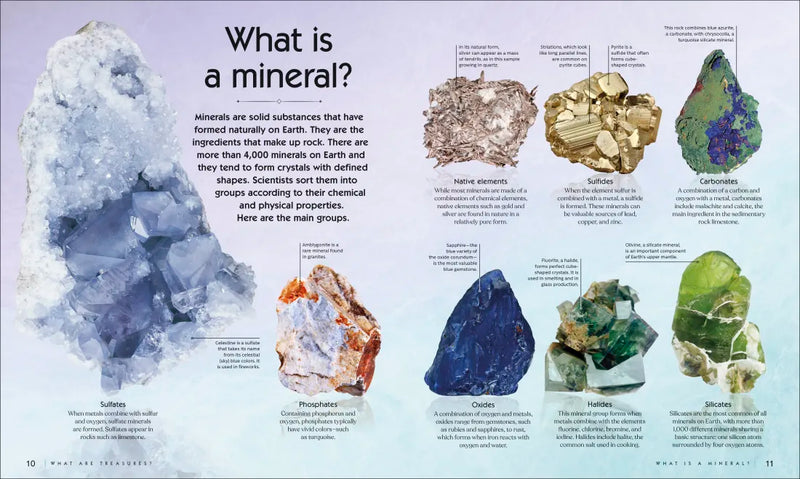 Treasures of the Earth US - Hardback