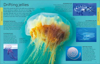 Ocean US - Paperback / softback