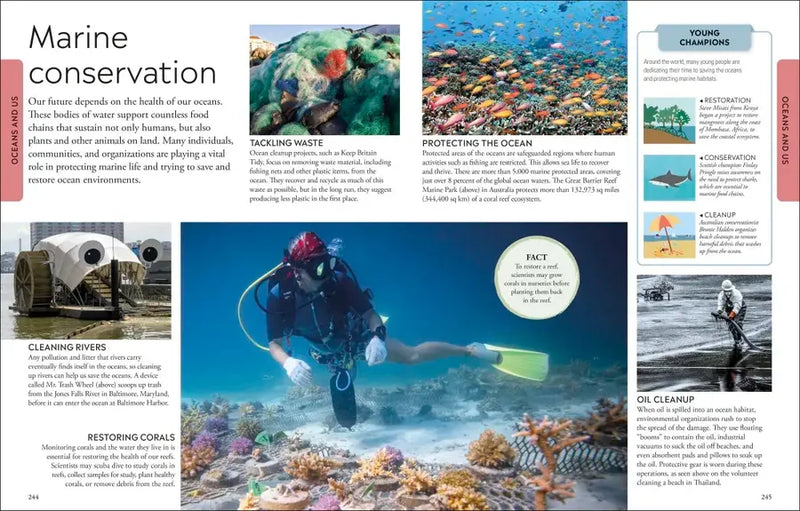 Ocean US - Paperback / softback