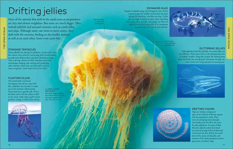 Ocean US - Hardback (9780593969502)