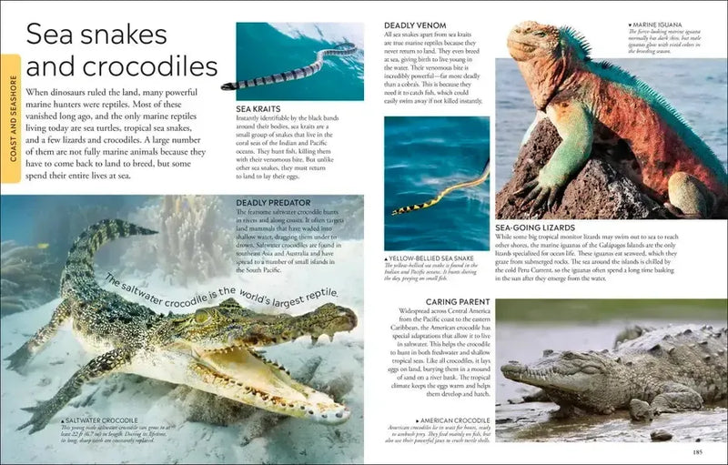 Ocean US - Hardback (9780593969502)