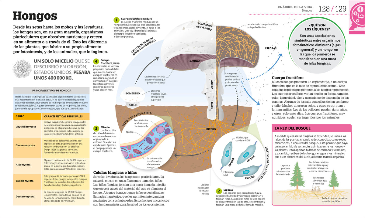 Cómo funciona la biología (How Biology Works) interior 4 (ISBN 9780593969748)