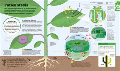 Cómo funciona la biología (How Biology Works) interior 2 (ISBN 9780593969748)
