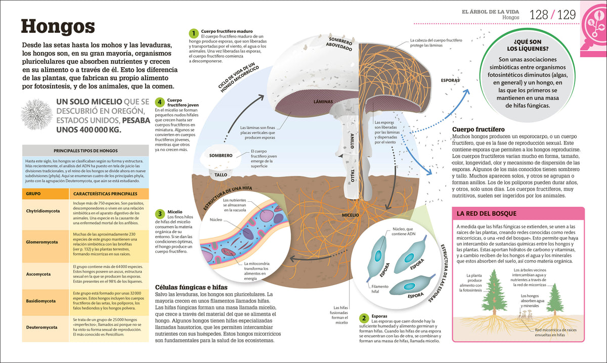 Cómo funciona la biología (How Biology Works) interior 1 (ISBN 9780593969748)