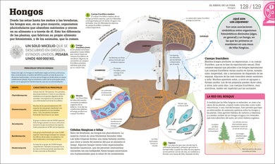 Cómo funciona la biología (How Biology Works) interior 1 (ISBN 9780593969748)