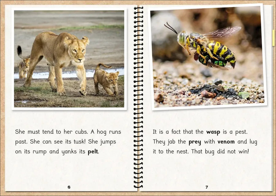 Phonic Books The Fact Files 1 US - Multiple-component retail product, boxed