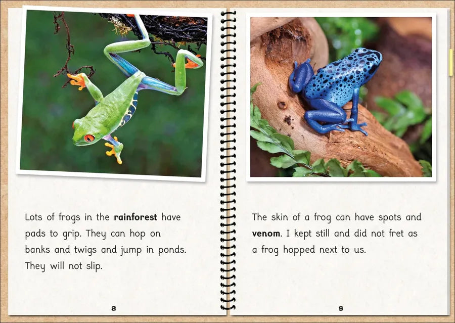 Phonic Books The Fact Files 1 US - Multiple-component retail product, boxed