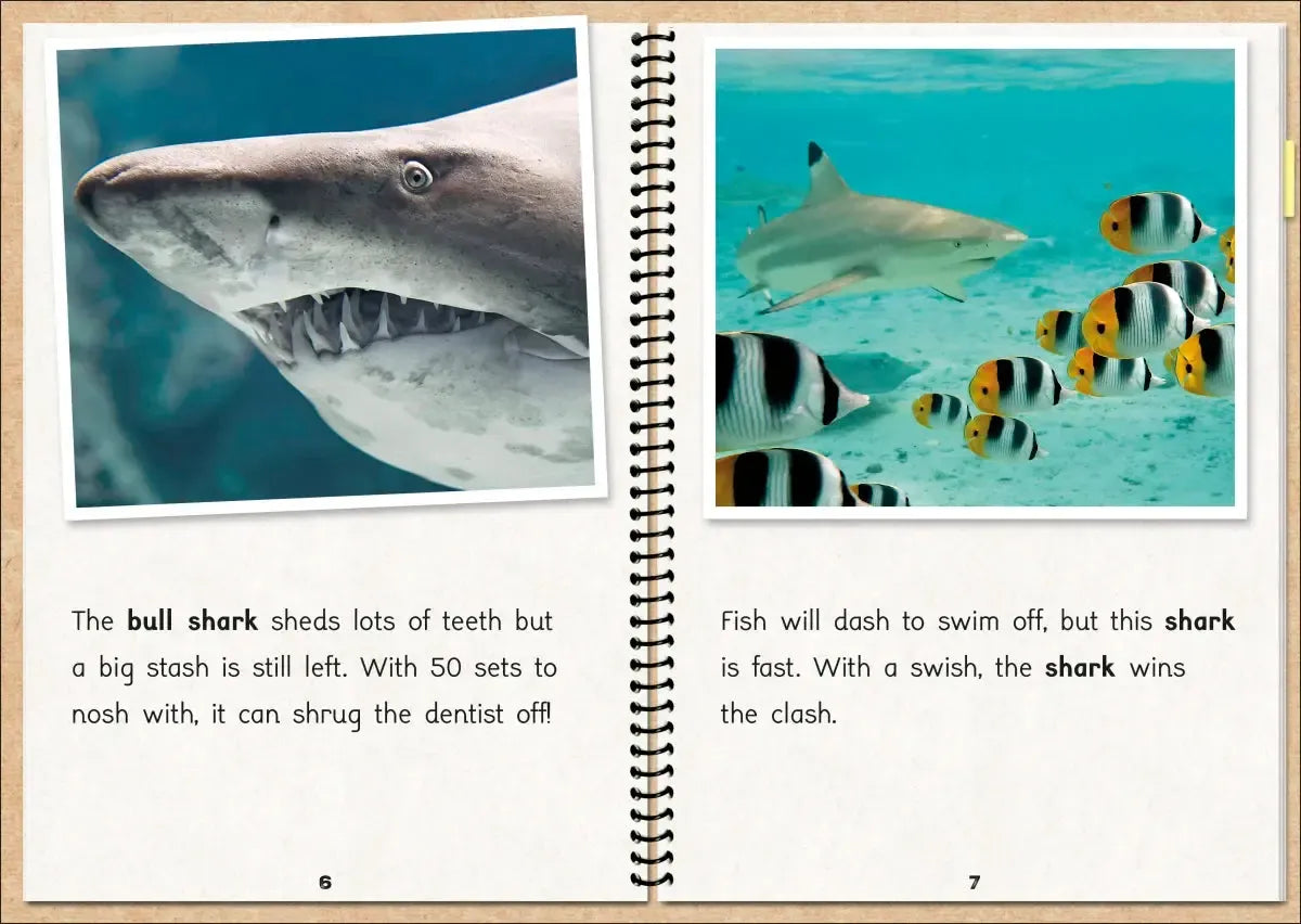 Phonic Books The Fact Files 1 US - Multiple-component retail product, boxed