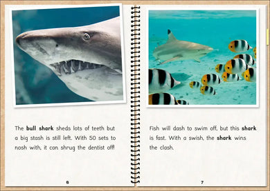 Phonic Books The Fact Files 1 US - Multiple-component retail product, boxed