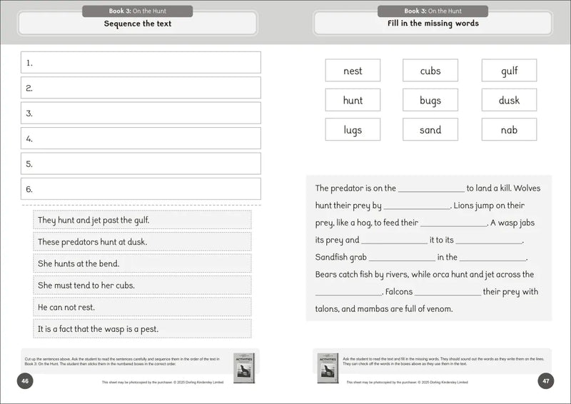 Phonic Books The Fact Files 1 Activities US - Paperback / softback