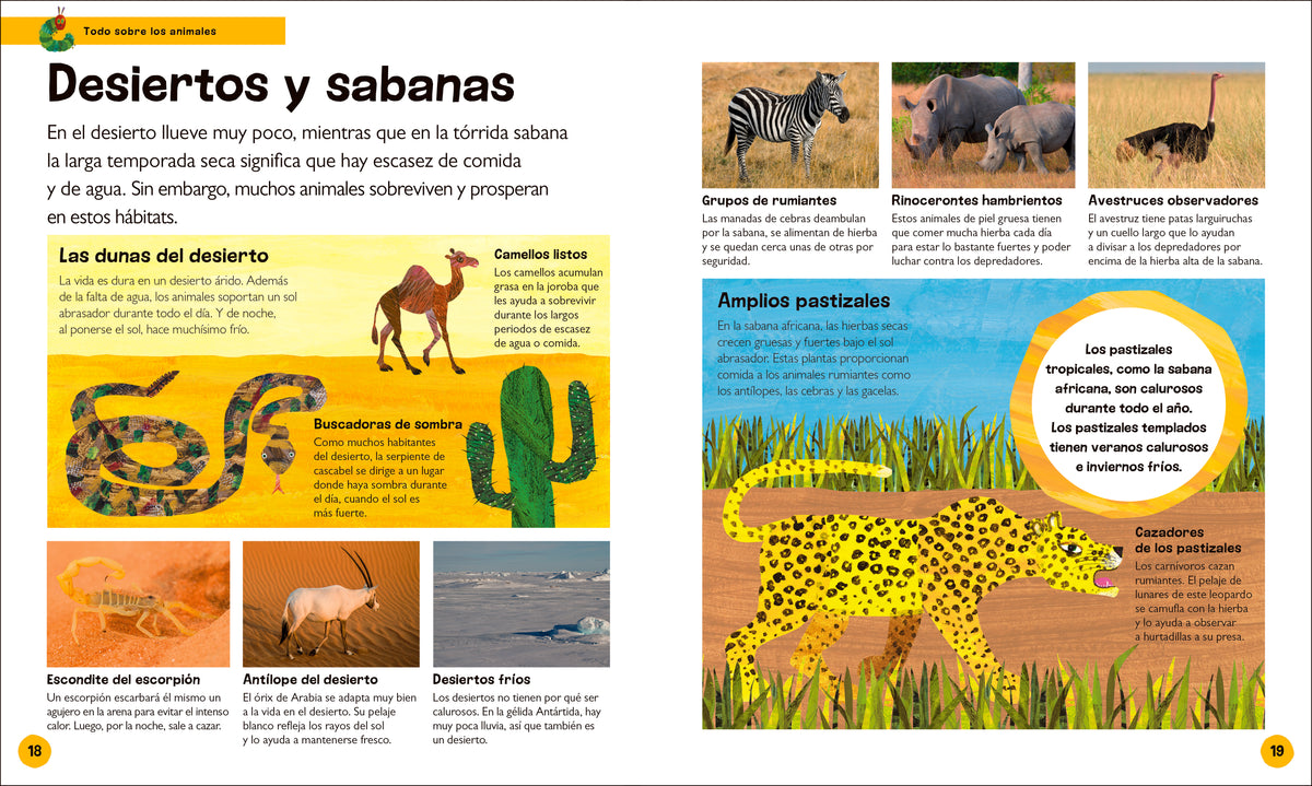 La oruga muy hambrienta Mi primera enciclopedia de animales (The Very Hungry Caterpillar's Very First Animal Encyclopedia) interior 1 (ISBN 9780593970638)