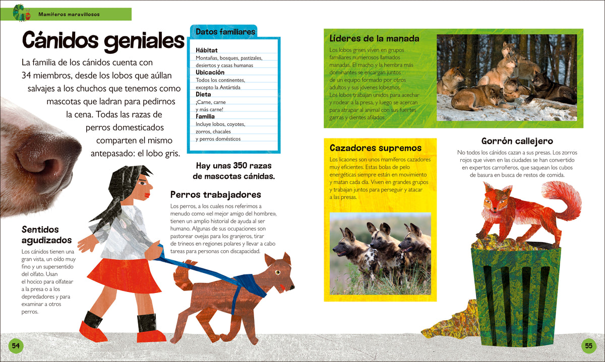 La oruga muy hambrienta Mi primera enciclopedia de animales (The Very Hungry Caterpillar's Very First Animal Encyclopedia) interior 3 (ISBN 9780593970638)