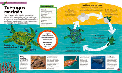 La oruga muy hambrienta Mi primera enciclopedia de animales (The Very Hungry Caterpillar's Very First Animal Encyclopedia) interior 4 (ISBN 9780593970638)