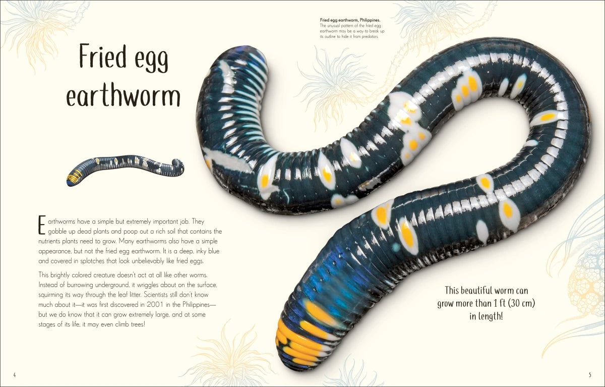 An Anthology of Remarkable Bugs US - Hardback