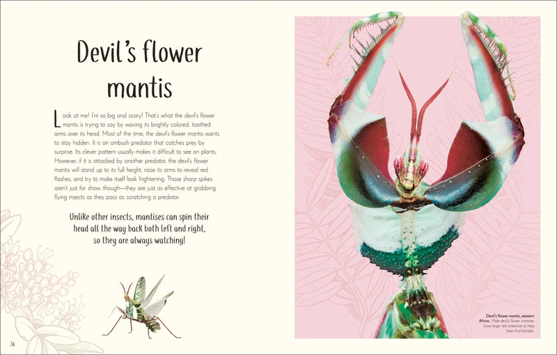An Anthology of Remarkable Bugs US - Hardback