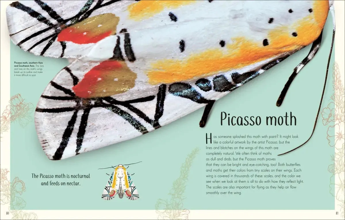 An Anthology of Remarkable Bugs US - Hardback