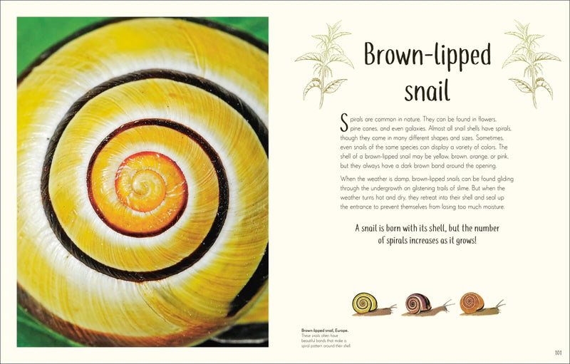 An Anthology of Remarkable Bugs US - Hardback