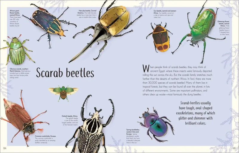 An Anthology of Remarkable Bugs US - Hardback