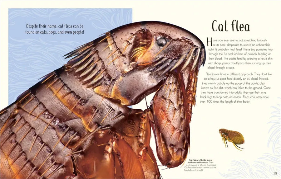 An Anthology of Remarkable Bugs US - Hardback