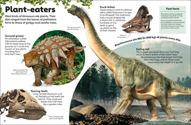 Eyewonder Dinosaurs US - Hardback