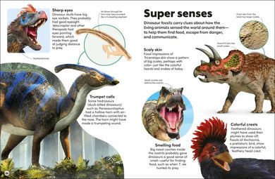 Eyewonder Dinosaurs US - Hardback