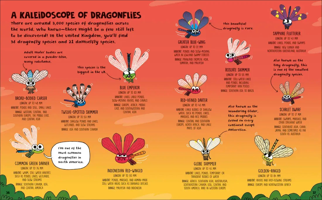 How to be a Dragonfly US - Book