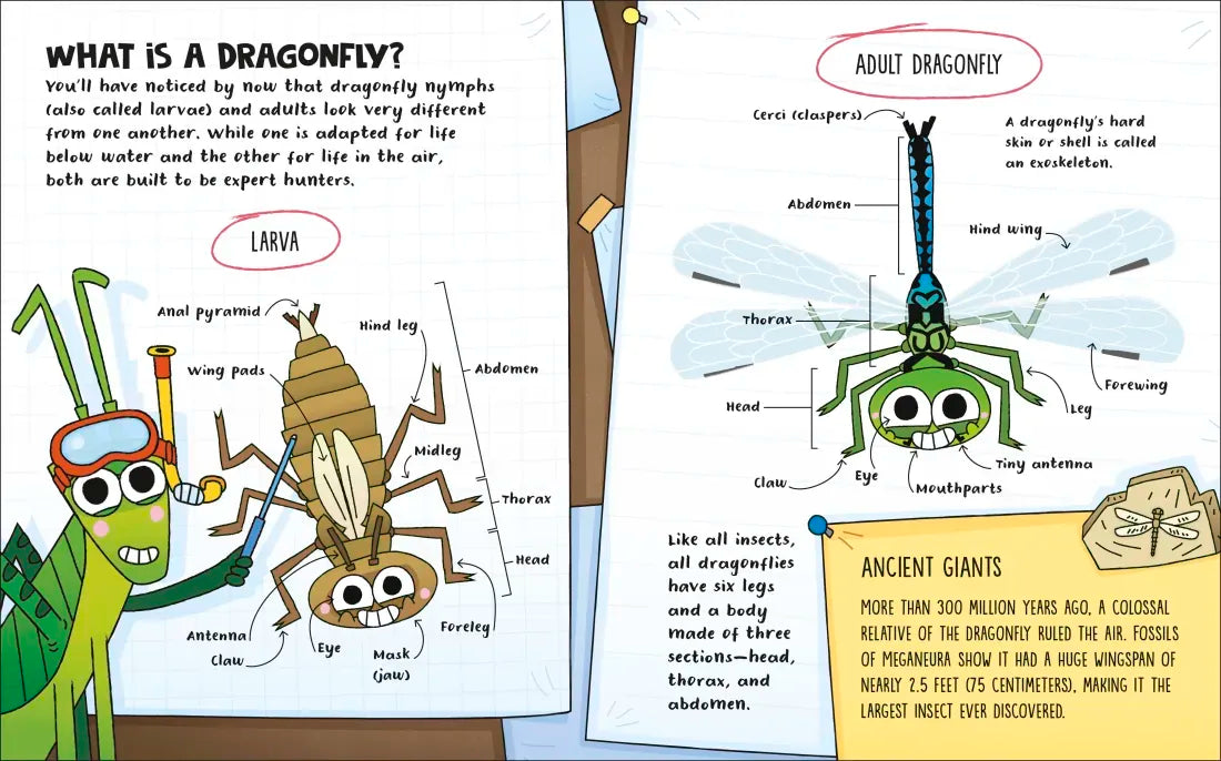 How to be a Dragonfly US - Book