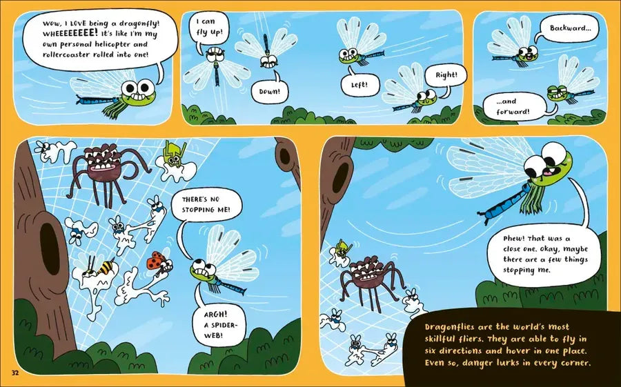 How to be a Dragonfly US - Book