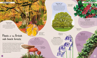 Forest US - Hardback