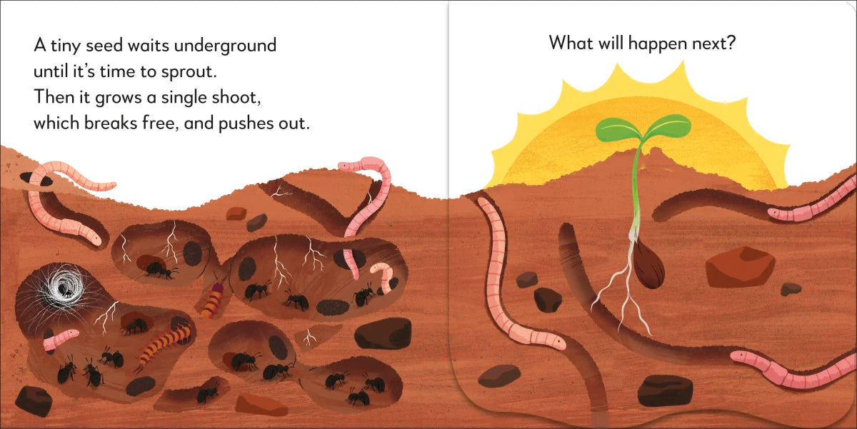 Pop-Up Peekaboo! Tree US - Board book