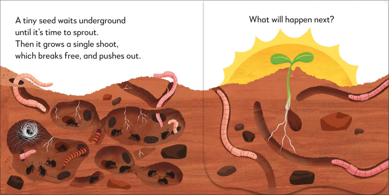 Pop-Up Peekaboo! Tree US - Board book