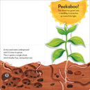 Pop-Up Peekaboo! Tree US - Board book