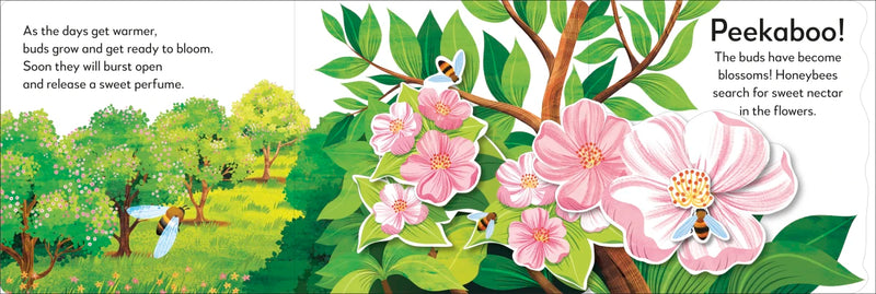 Pop-Up Peekaboo! Tree US - Board book