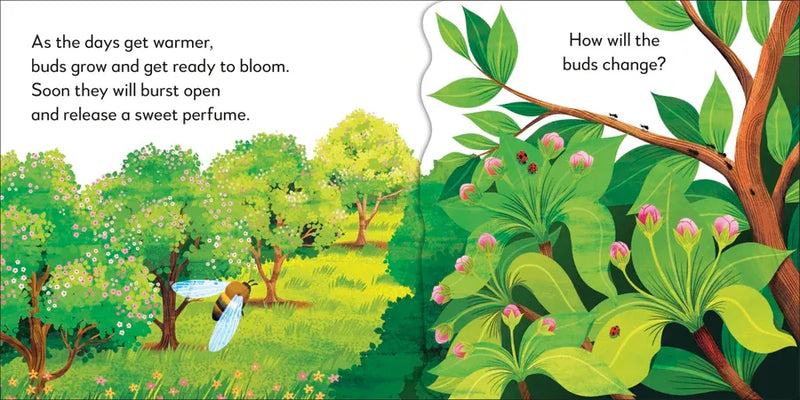 Pop-Up Peekaboo! Tree US - Board book