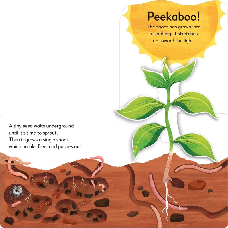 Pop-Up Peekaboo! Tree US - Board book