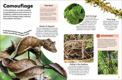Eyewonder Rainforest US - Hardback
