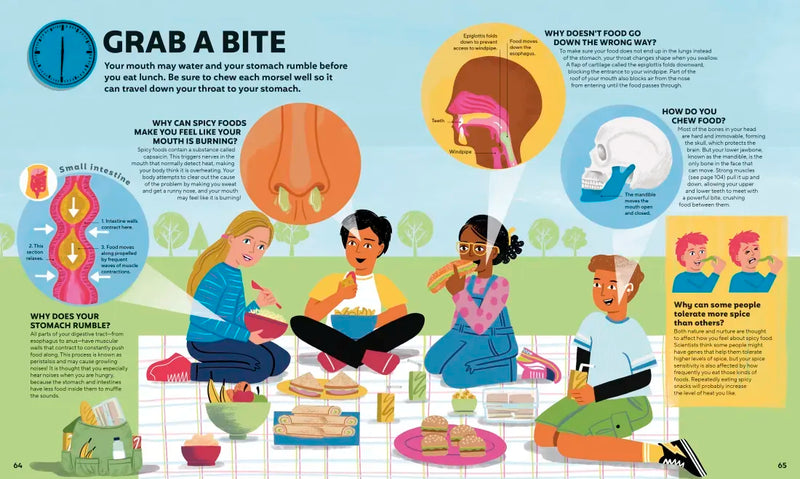 A Day in the Life of Your Body US - Hardback