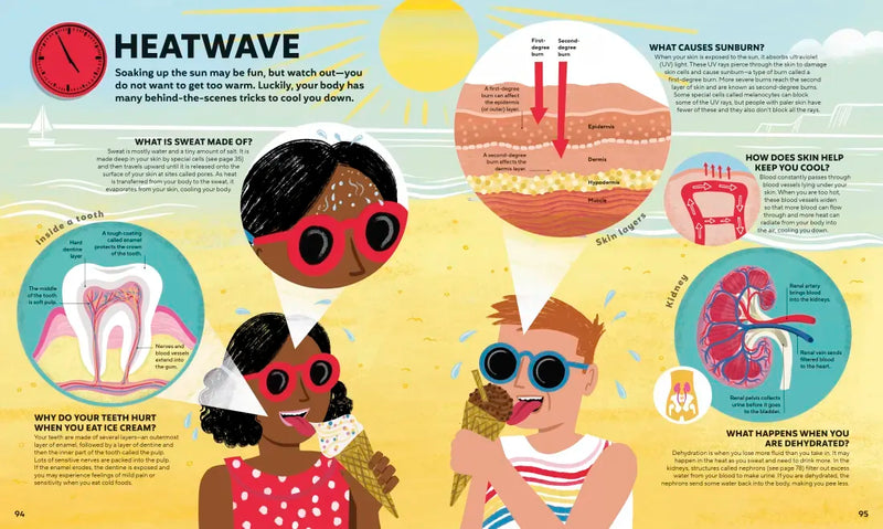 A Day in the Life of Your Body US - Hardback