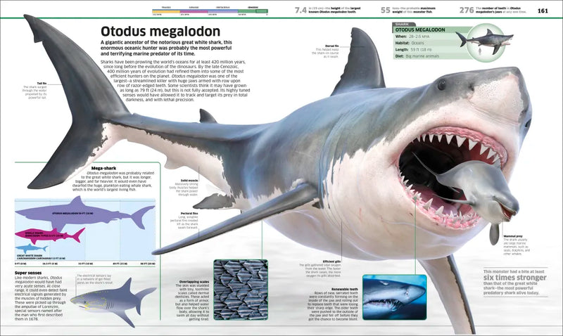 Knowledge Encyclopedia Dinosaur! US - Hardback (9780593972151)