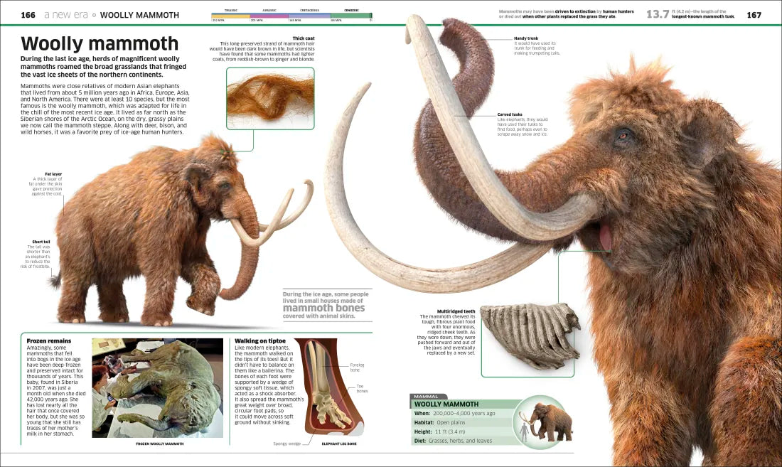 Knowledge Encyclopedia Dinosaur! US - Hardback (9780593972151)