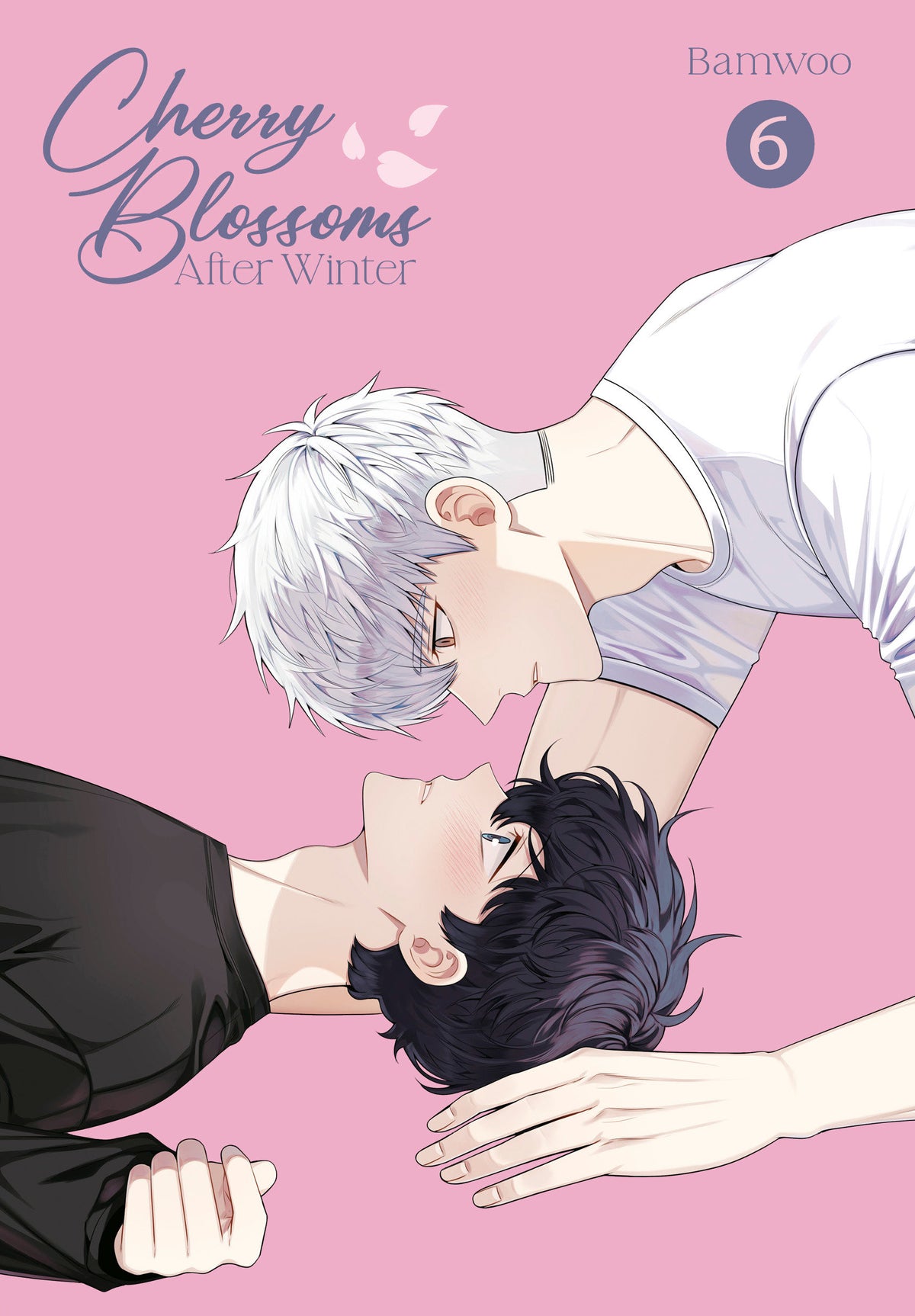 Cherry Blossoms After Winter: Volume 6 cover (ISBN 9780593973929)