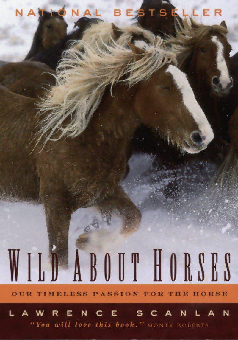 Wild About Horses-Nature and the natural world: general interest-買書書 BuyBookBook