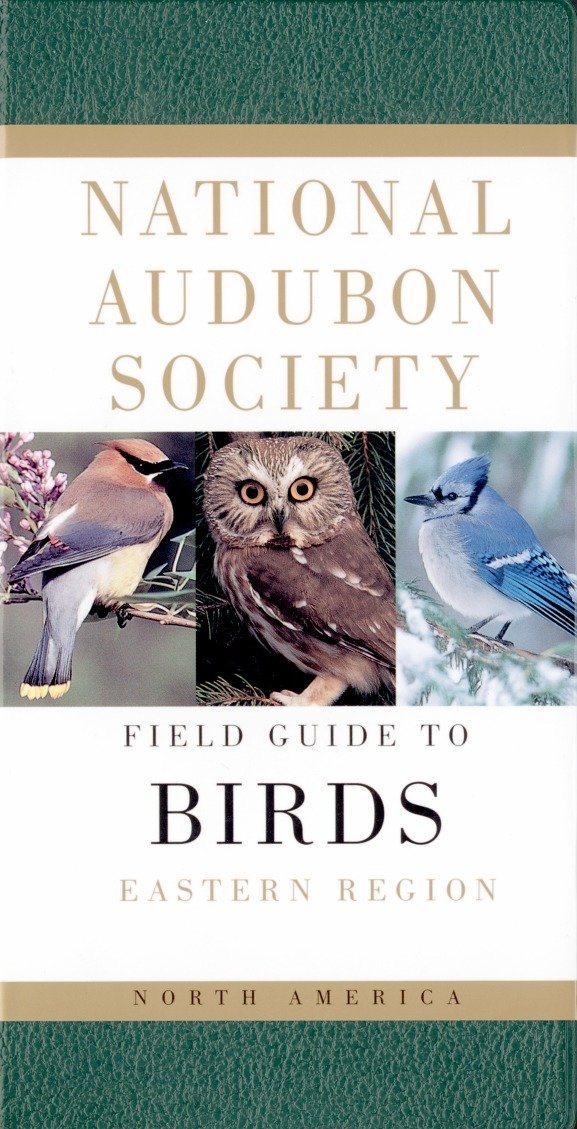 National Audubon Society Field Guide to North American Birds-E-Nature and the natural world: general interest-買書書 BuyBookBook