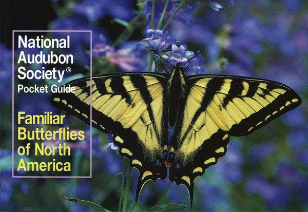 National Audubon Society Pocket Guide: Familiar Butterflies of North America-Nature and the natural world: general interest-買書書 BuyBookBook