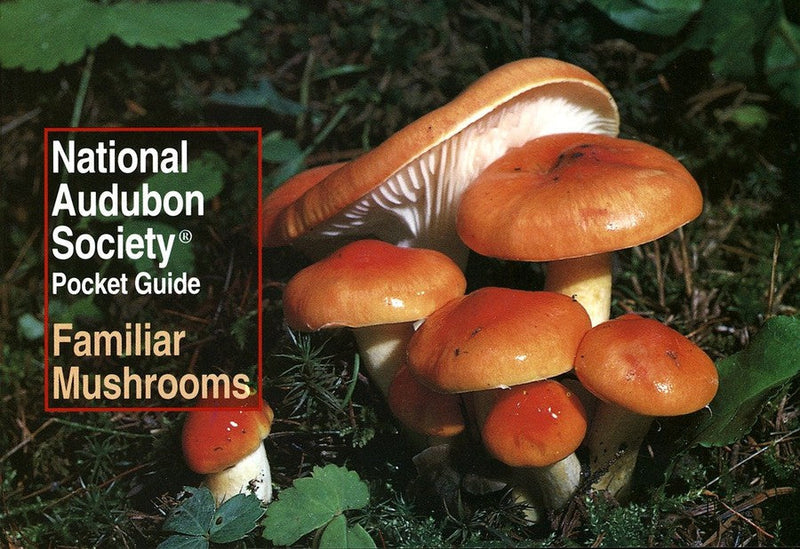 National Audubon Society Pocket Guide: Familiar Mushrooms-Nature and the natural world: general interest-買書書 BuyBookBook